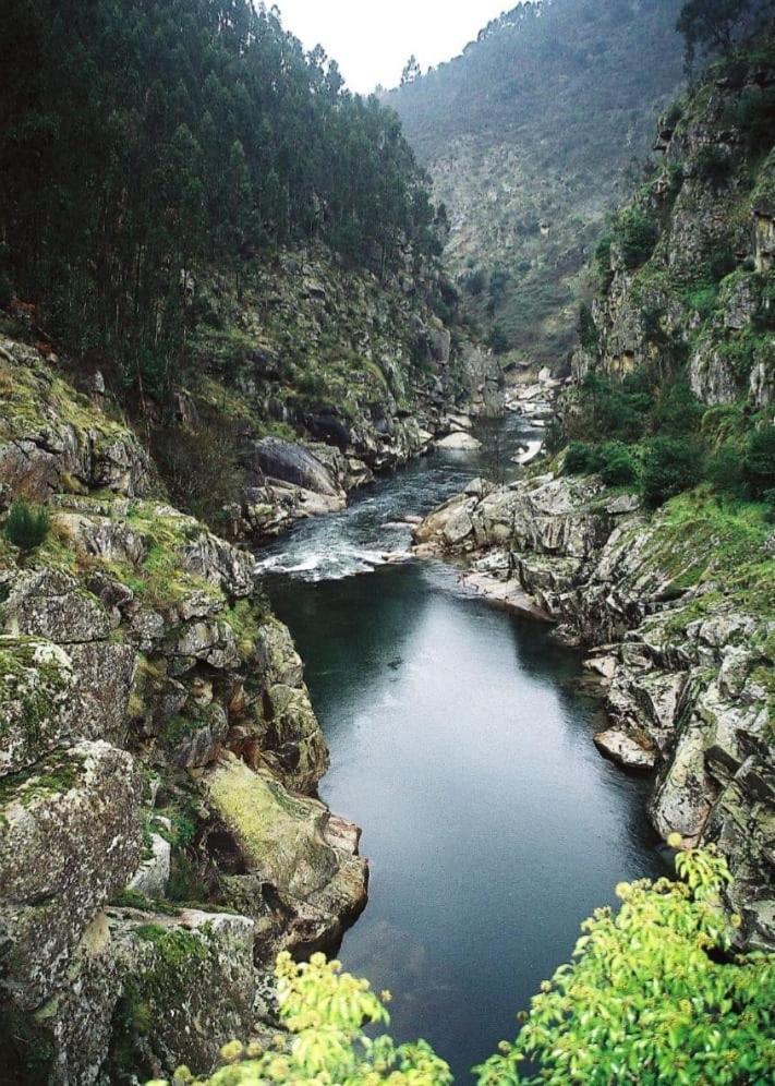 Crasto Payva Douro Nature Castelo de Paiva Exterior photo